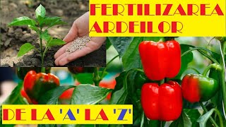 Fertilizarea ardeilor de la răsad până la recoltare🌶🌶🌶 [upl. by Cornell614]