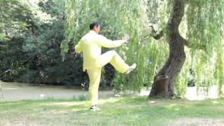 Phoenix Tai Chi Chuan [upl. by Rafat449]