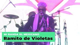 Mi banda El Mexicano  Ramito de violetas En vivo [upl. by Nilek]