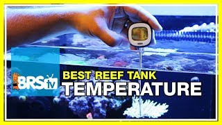 Week 8 Tank Temperature Finding a Way to Trust Your Heater  52 Weeks of Reefing [upl. by Anitsirhcairam283]