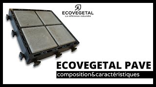 ECOVEGETAL PAVE  composition et caractéristiques du système [upl. by Larred]