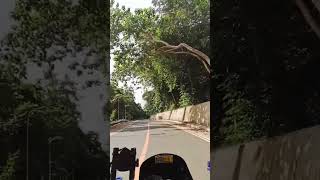 Yamaha ytx 125 short video ride [upl. by Ruford]