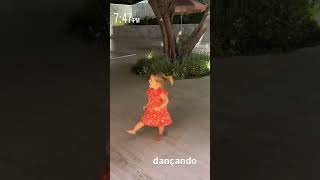 Floflo na maior farra dançando 😅🌸🤩🥰 ✅virginiafonseca youtubeshorts feedshorts [upl. by Heeley546]