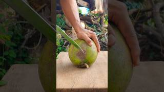 Cut coconut ASMR coconut satisfying [upl. by Malony]