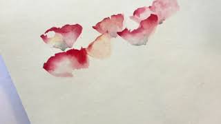 Aquarelle comment faire un coquelicot [upl. by Yelak]