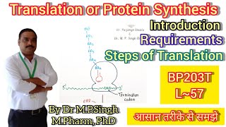 Translation or Protein Synthesis  Introduction  Requirement  Steps  Biochemistry  BP203T  L57 [upl. by Chuch]