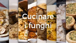 Come cucinare i funghi [upl. by Edrock424]