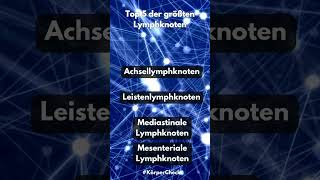 Top 5 der größten Lymphknoten youtubeshorts top5 lymphknoten körper fakten [upl. by Fawn593]