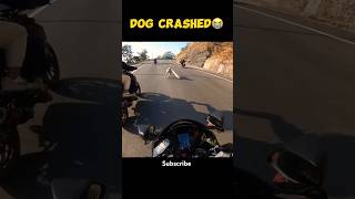 Omg 😰Dog🐕 crashed😭 shorts ytshorts viralshort viralreels viralvideos rider ayteach motovlog [upl. by Adnahsat]