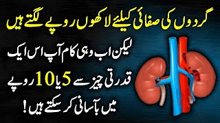 14 Silent Symptoms Of Kidney Failure  Kidney Disease Signs Causes And Symptoms Urdu Hindi [upl. by Idihc353]