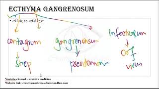 3 11 ecthyma gangrenosum mp4  Dermatology [upl. by Emmet902]