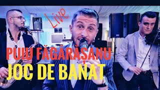 Puiu Fagarasanu❎Joc de Banat💯Live 2024 [upl. by Adaval269]