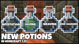 NEW POTIONS In MINECRAFT 121 Explained [upl. by Anal833]