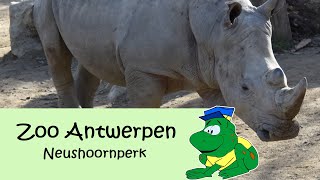 Zoo Antwerpen neushoornperk [upl. by Aramahs]