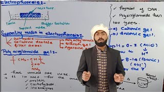 Poly Acrylamide gel  Gel Supporting media used in Electrophoresis  Electrophoresis [upl. by Kir]