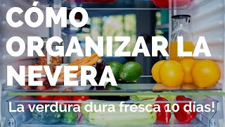 ORGANIZA LA NEVERA CORRECTAMENTE ✅ Consejos [upl. by Giorgio83]