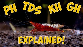 Shrimp Water Parameters Explained pH GH KH and TDS [upl. by Enohsal977]