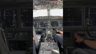 ✈️ Boeing 737 MAX8 callouts testing without IRS  cockpit 737 callouts alarms warning [upl. by Eldwun363]