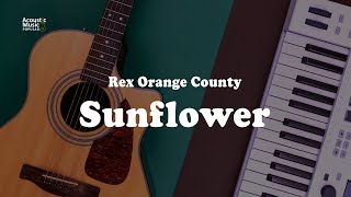 Rex Orange County  Sunflower Acoustic Guitar Karaoke and Lyric [upl. by Kceb]