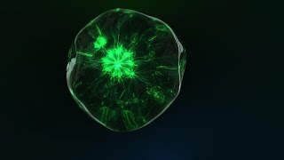 Trapcode Tao Energy Ball [upl. by Mill]