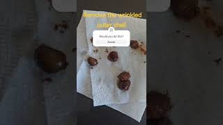 How to germinate tamarind seed germination gardening 876 plants flowers urbanfarming nature [upl. by Bathsheba]