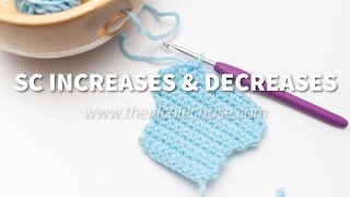 Increases and Decreases SC2tog in Single Crochet [upl. by Neyr]