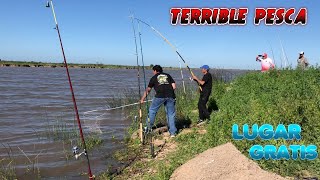 MAS PESCADO QUE AGUAEN LA CIUDAD DE BARADERO  SURUBI DORADO TARUCHONES BOGAS CARPASMONCHOLOS [upl. by Simonsen]