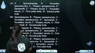 The following refers to spermatogenesis and oogenesis in human Identify A to H correctly [upl. by Retswerb]