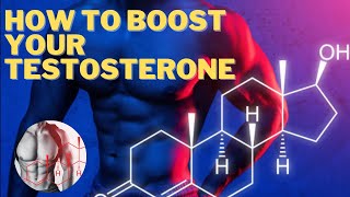 How To Boost Your Testosterone [upl. by Ahsaenat]