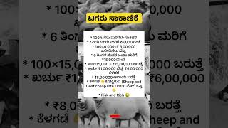 Cow farming  tagaru  dairyfarm cow cowfarming hainugarikeinformationinkannada farm [upl. by Vorfeld201]