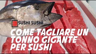 Come tagliare un tonno gigante per sushi [upl. by Coumas]