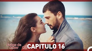 Gritos de Amor Capitulo 16 Doblaje En Español [upl. by Engapmahc]