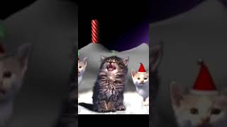 Gatos Navidad cantando memes nosabiaquelonecesitaba [upl. by Danya]