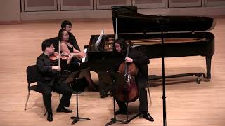 Robert Schumann Piano Trio No 3 Op110 1851 2 Ziemlich langsam [upl. by Wollis]