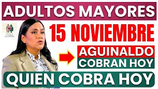 💥¡ADULTOS MAYORES  QUIEN COBRA HOY 15 DE NOVIEMBRE💥 [upl. by Asiuqram]