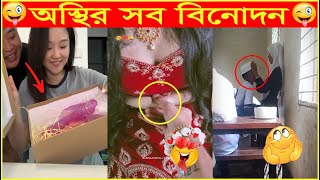 অস্থির সব বিনোদন 😂অস্থির বাঙালি😂সব ভাইরাল Tiktok ভিডিও এক সাথে😂Bengali funny videos  Funny videos [upl. by Schechter]