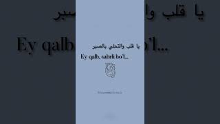 Ey qalbsabrli bol [upl. by Nela517]