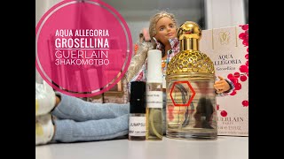 ЗНАКОМСТВО  Aqua Allegoria Grosellina от Guerlain [upl. by Haeluj]