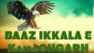 Eh BAAZ Ikkala Hai ਇਹ ਬਾਜ਼ ਇਕੱਲਾ ਹੈ ਇਸਦੇ ਮਗਰ ਨੇ ਬਹੁਤ ਸ਼ਿਕਾਰੀ   KAM LOHGARH amp Ladhubhanie [upl. by Koblick]