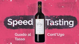 Vier Flaschen Speedtasting Cont Ugo  ein Merlot der Extraklasse [upl. by Arded]