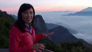 Taiwan Taking the Alishan mountain railway to see the lake of clouds  BBC Travel Show [upl. by Erdnaet249]