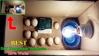 How to Make a Homemade Incubator for Chicken Eggs  Hatching Eggs  DIY Homemade Incubator Easy [upl. by Mathilde]