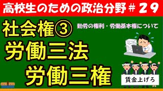 【高校生のための政治・経済】労働三法・労働三権29 [upl. by Oguh738]