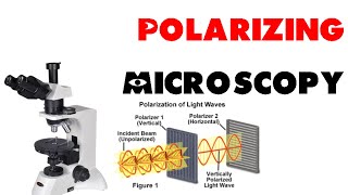 Polarizing microscopy [upl. by Leahcar]