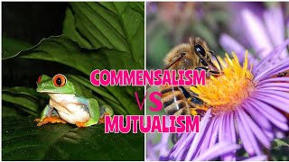 SCIENCE 4 QUARTER 2  MUTUALISM vs COMMENSALISM  BENEFICIAL INTERACTIONS AMONG LIVING ORGANISMS [upl. by Acimahs92]