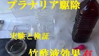 南米プラナリアの駆除方法 竹酢液でミナミヌマエビを死なせず退治する方法水槽塩 木酢液プラナリアZERO除去 [upl. by Samaria]