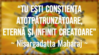 Adevărul Suprem  spus de Nisargadatta Maharaj Cine sunt eu Prima parte [upl. by Neelahtak]