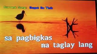 Sugat Sa Tinik  Bing Rodrigo Karaoke Version [upl. by Eivad]