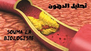 bilan lipidique  تحليل الدهون [upl. by Lubet]