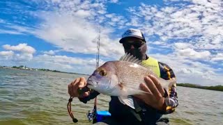 Brisbane River Snapper bag out from a Jet Ski Jet ski fishing [upl. by Bonaparte]